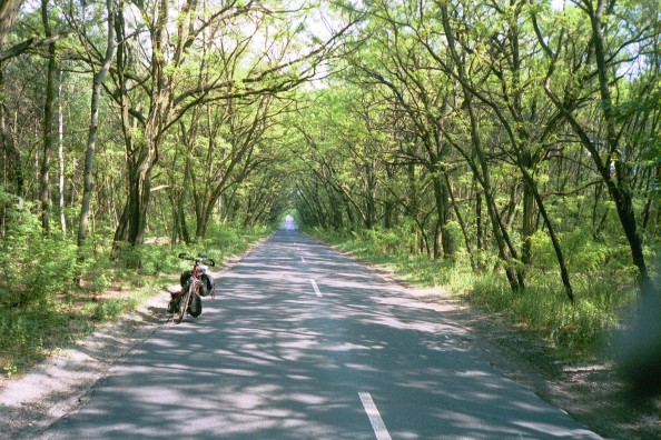 Svalkande grön tunnel