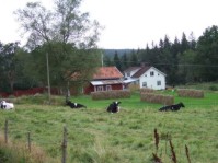 Hornhult. Anders i H var f&ouml;dd 1510 h&auml;r och var farfarsfar till Jacob Gudmundi Solingius. /Pr&auml;stsl&auml;kt/