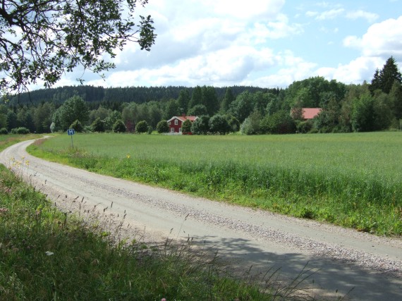 Bredared. Bredins sl&auml;ktg&aring;rd. Nu &Aring;ke Johanssons sommarparadis.