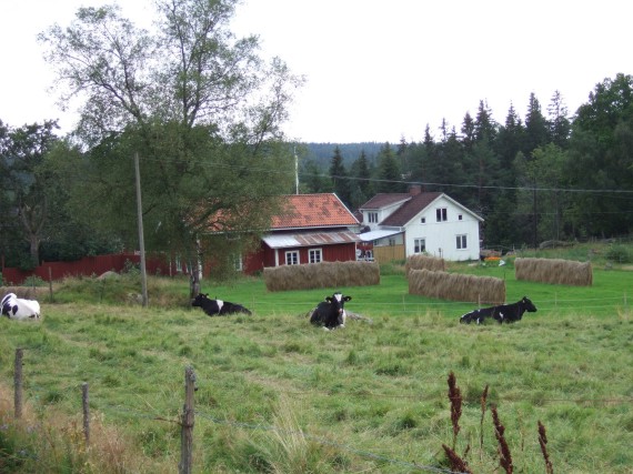 Hornhult. Anders i H var f&ouml;dd 1510 h&auml;r och var farfarsfar till Jacob Gudmundi Solingius. /Pr&auml;stsl&auml;kt/