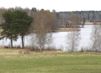 Bild eng002