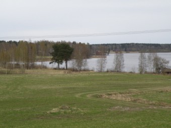 Bild eng011