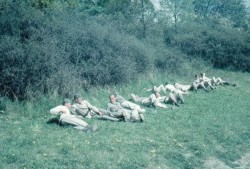 "Rast, vila" var popul�rt kommando