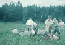 I vilken h�g finns bollen?