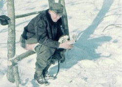 V�rsolen v�rmer. Notera ryggskydd och st�d under sittpinnen.