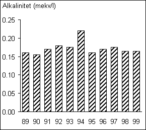 Skagern alk