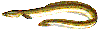 &Aring;l